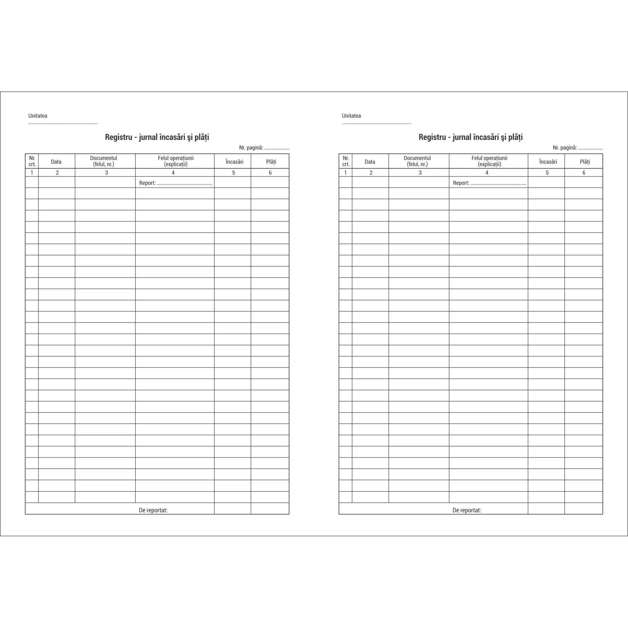 Registru jurnal incasari si plati